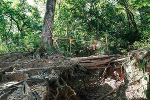 BIB: 
                            <button type="button" onclick="openModal(27800047)" class="btn btn-primary btn-sm float-right btn-popup" data-toggle="modal" data-target=".modal-high-quality">
                        <i class="fas fa-shopping-cart"></i> Add to Cart
                    </button>
                                            <button type="button" onclick="isThisMe(27800047, true)" class="btn btn-success btn-sm float-right btn-popup btn-isme hidden" data-toggle="tooltip" data-placement="bottom" title="นี่คือรูปของคุณใช่ไหม คลิกที่นี่เพื่อเอาเข้าอัลบั้ม">
                        <i class="fas fa-plus"></i> Add to album
                    </button>
                    <button type="button" onclick="isThisMe(27800047, false)" class="btn btn-warning btn-sm float-right btn-popup btn-isnotme hidden">
                        <i class="fas fa-ban"></i> Remove from album
                    </button>